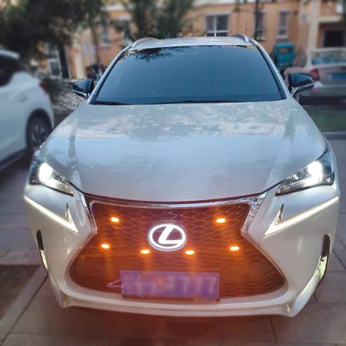 2nd Generation Dynamic Lexus Emblem Light for LX570 GS460 LS460